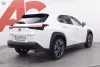 Lexus UX 250h Business Thumbnail 5